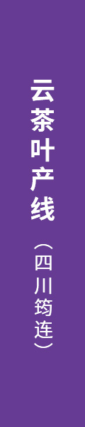 172440537832391000