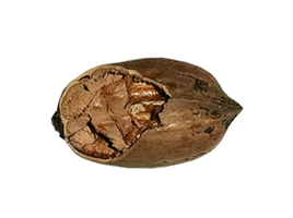 172662119480492100