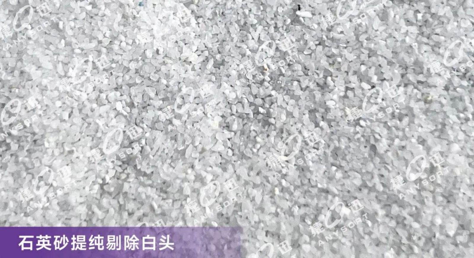 J9国际站备用【唯一】官方网站