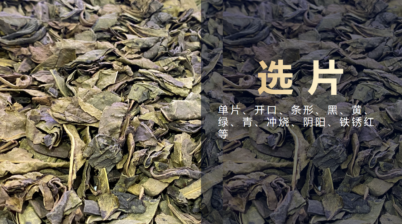 J9国际站备用【唯一】官方网站