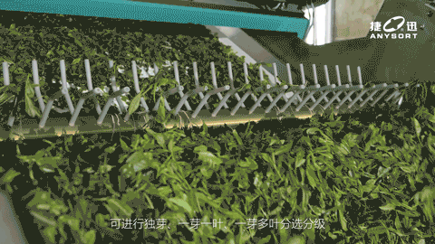 J9国际站备用【唯一】官方网站