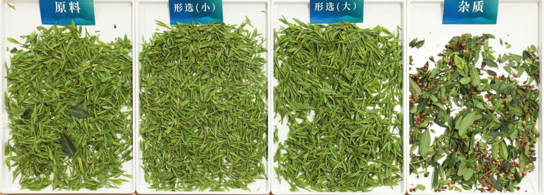 J9国际站备用【唯一】官方网站